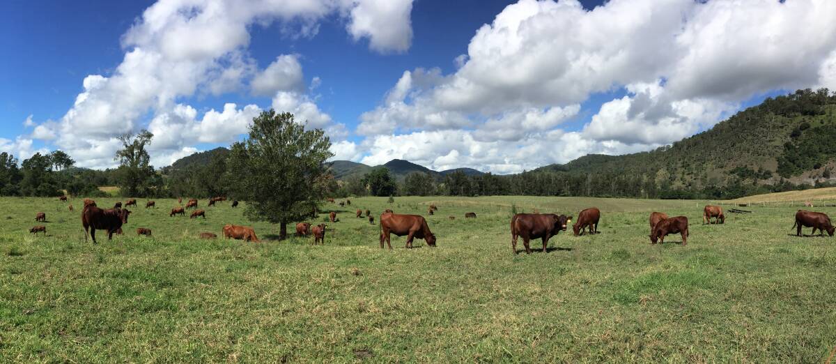 What if you could both graze and capture carbon for credit? You can, but it's a commitment. In light of new policy in the US, carbon farming might be something to consider.
