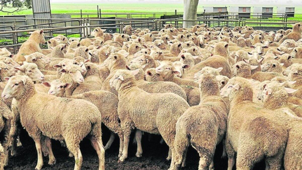 Sheepmeat made the biggest gains last financial year with output rising by 32pc.