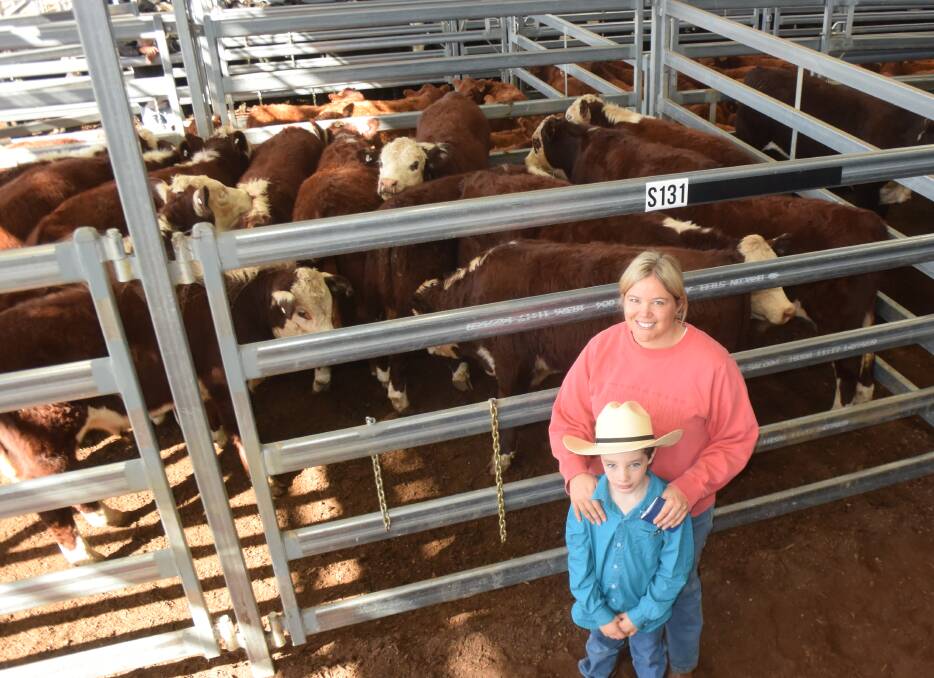 Kate and Henry McCosker, Lynhurst at Cherry Tree Hill via Yetman with Hereford steers with Mountain Valley poll blood that made 550c/kg for 297kg or $1633 at Inverell on Thursday.