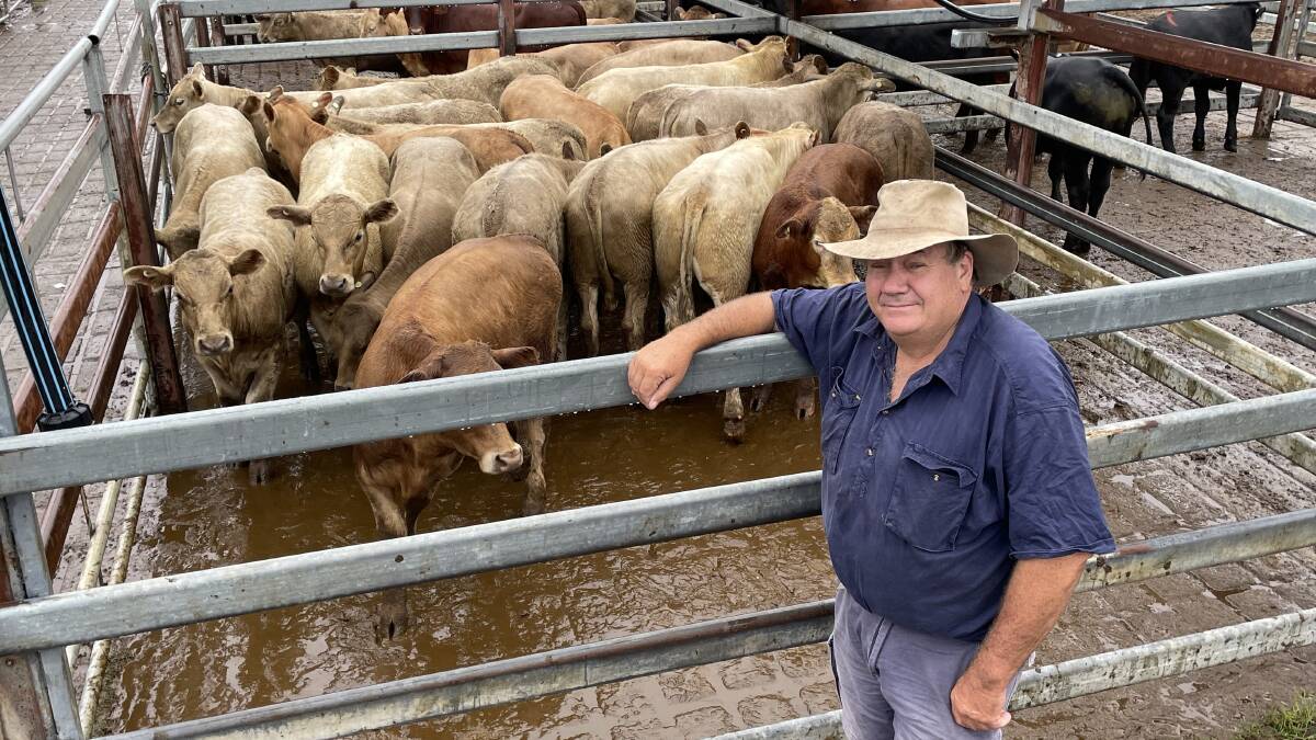 Geoff Rogan, Saro Pastoral at Baryulgil, with Angus Charolais weaner steers 10 months old, 239.8kg, that made 378c/kg or $901 at Grafton on Monday.
