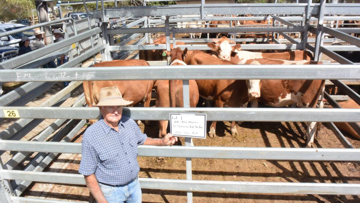 Basil Moran, Brushgrove, sold Simmental heifers in calf to a Simmental bull for $1800 going to repeat buyers from Casino.Mr Moran has been breeding Simental since they first came into Australia more than 40 years ago.