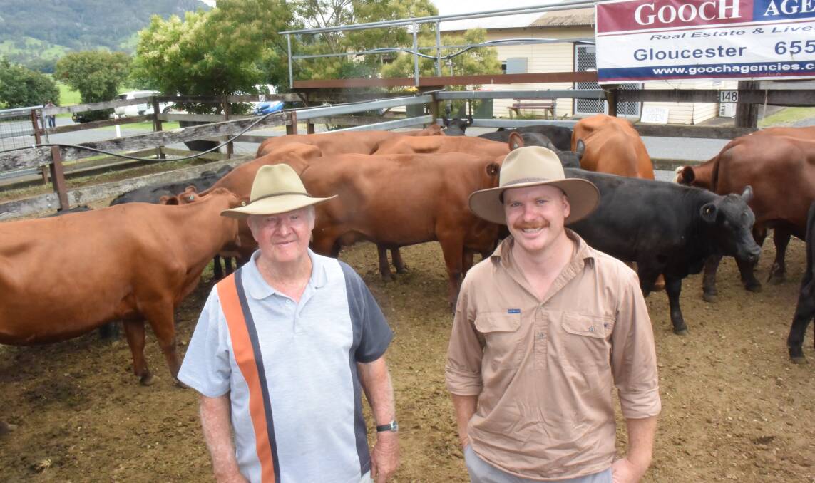 Robert Dee and his grandson Josh Small, Buladelah, with cows on their second calves bought as heifers tested in calf two years ago that sold at Gloucester sale last Friday for $3800 a head. 