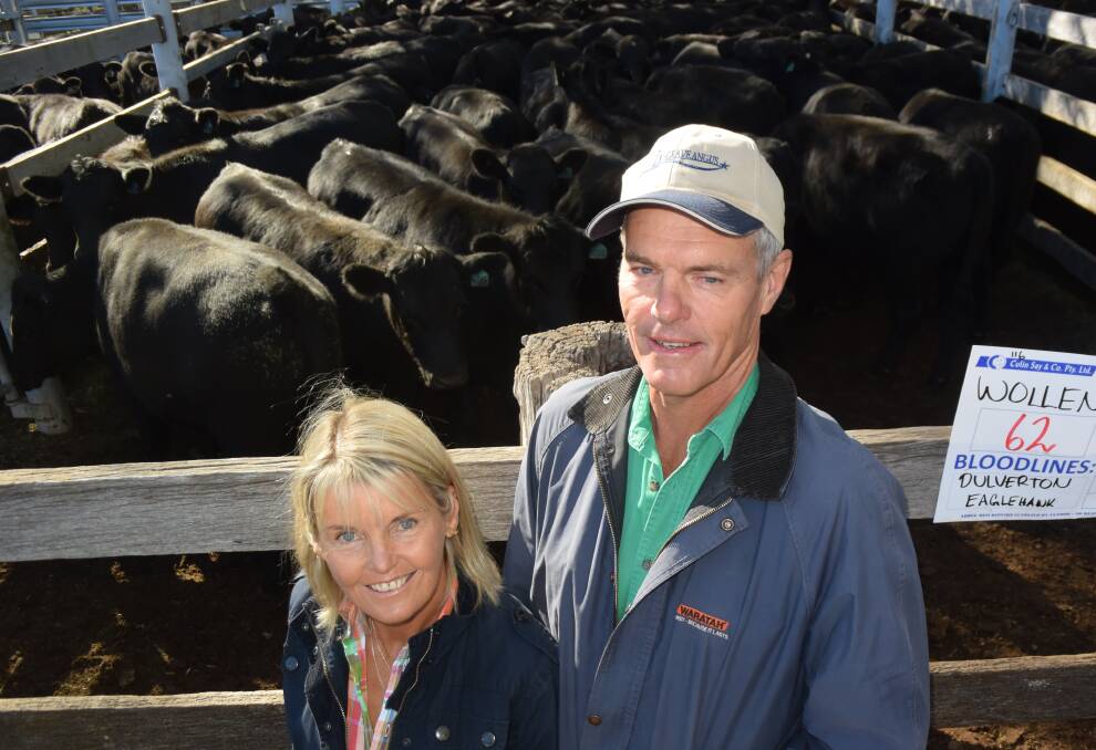 Best presented Angus steers came from Sally and Gordon Wollen, “Buckendor” Red Range, and were sold to Queensland for 317c/kg.