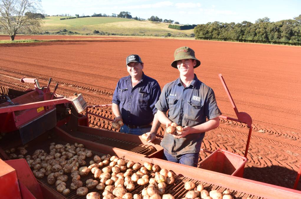 Red soil and water security is driving up the price of land on the Dorigo Plateau where Chris and Brendon Gibbins turn off enormous production in Sebago potatoes.