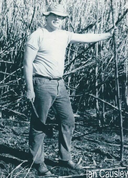 Ian Causley cutting cane by hand.