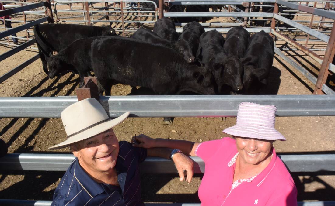 Ross and Anna Policaro, Mingoola, sold eight-month-old milk-tooth Angus steers with Inglebrae blood, 362.8kg for 520c/kg or $1886 going to Wyallah feedlot. 