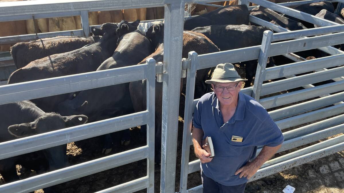 Trevor Schubert, Wauchope, with Angus steers sporting Tandara blood, 9-10 months, that made above average money at Kempsey on Thursday.