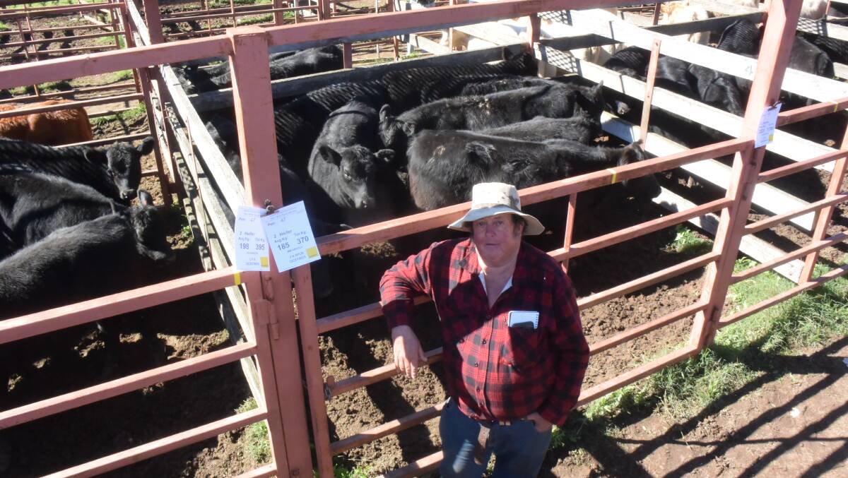 John Arnold, Mount Tully, Qld, with Angus heifers from first calf cows by Texas bulls, 223kg that made 596c/kg or $1329/hd going to the Glen Innes district.