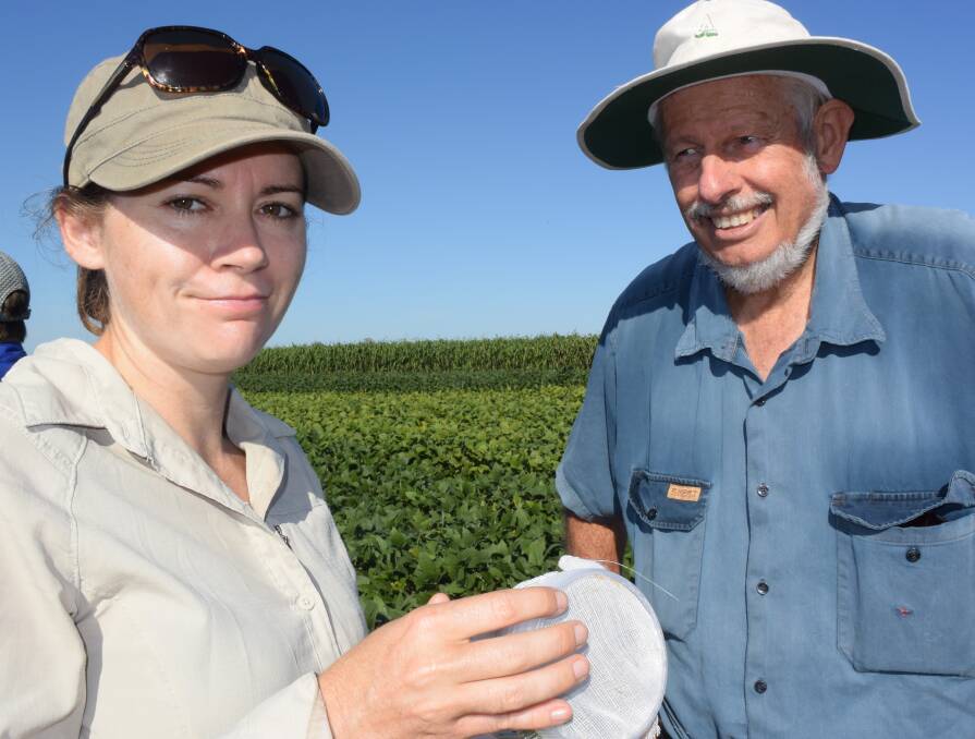 Soybean industry entomologist Dr Liz Williams will take over from long-standing bug expert Hugh Brier, who has been based at Kingaroy. 