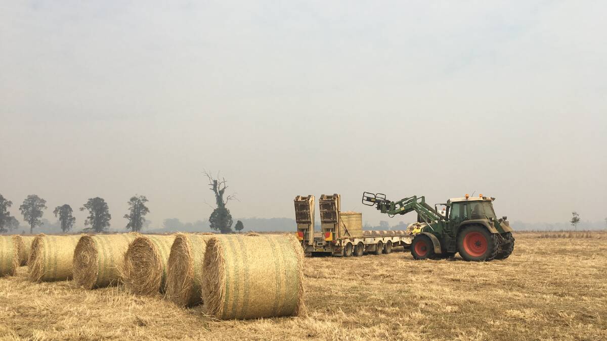 Bush fire smoke near Casino shrouds the Northern Rivers' hay run as bales are loaded on Friday morning for drought stricken farmers in the Narrabri area.
