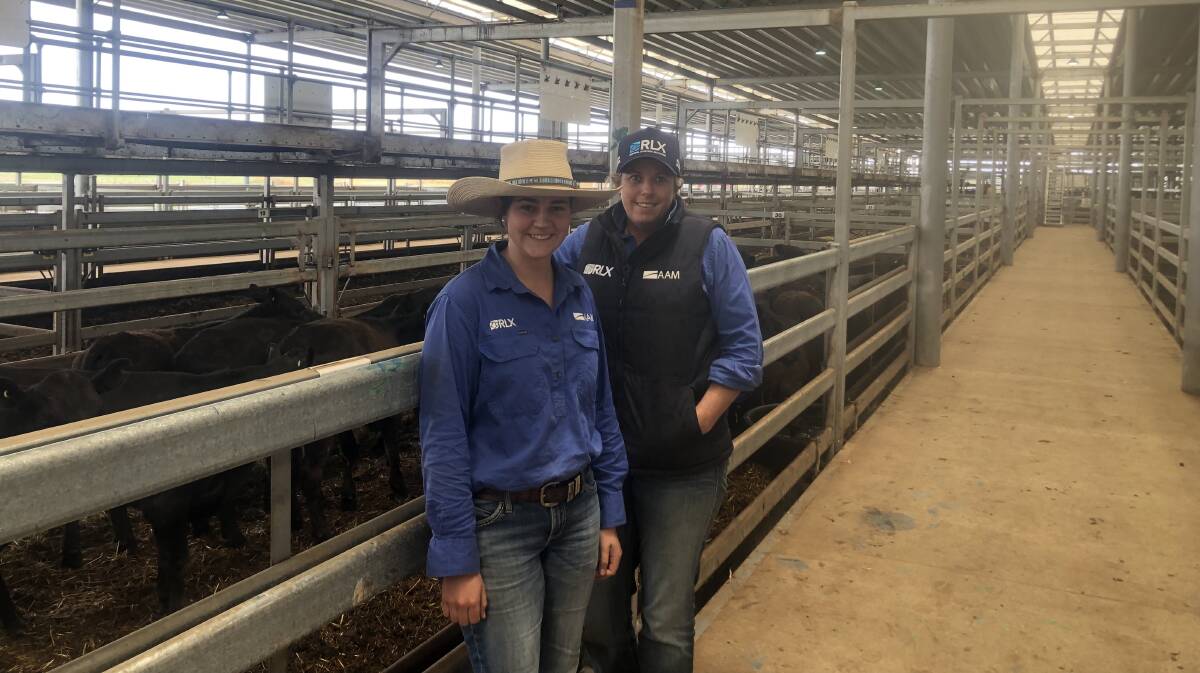Kim Ellis and Tabby Cross at Northern Victoria Livestock Exchange on Thursday, where weaner steers made up to $2200. Photo Tim Keys NVLX