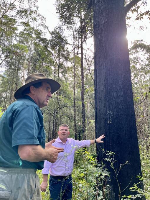 Ron McKinnon, Tomerang, shows the minister for agriculture Dugald Saunders the value of keeping habitat trees in the farm forestry mix.