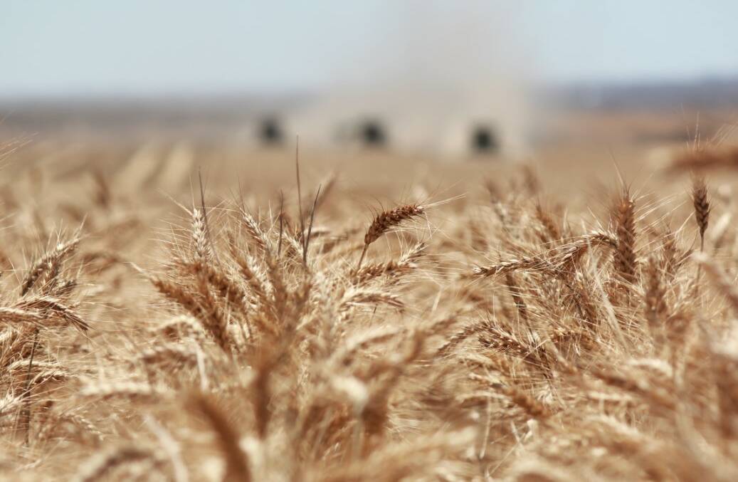 An abundance of high quality wheat from eastern Australia has a strong global market right now.