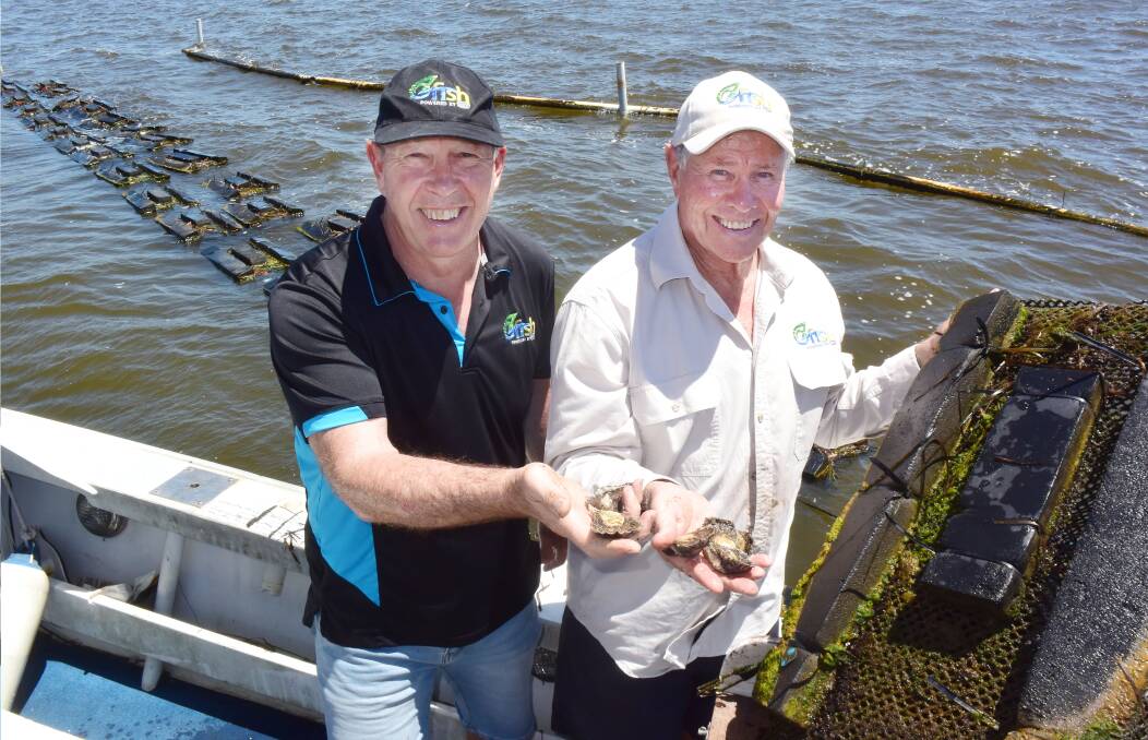 Craig Copeland and John Larsson from OzFish Unlimited with a new variety of rock oyster that could revitalise a dying aquaculture industry on the east coast.