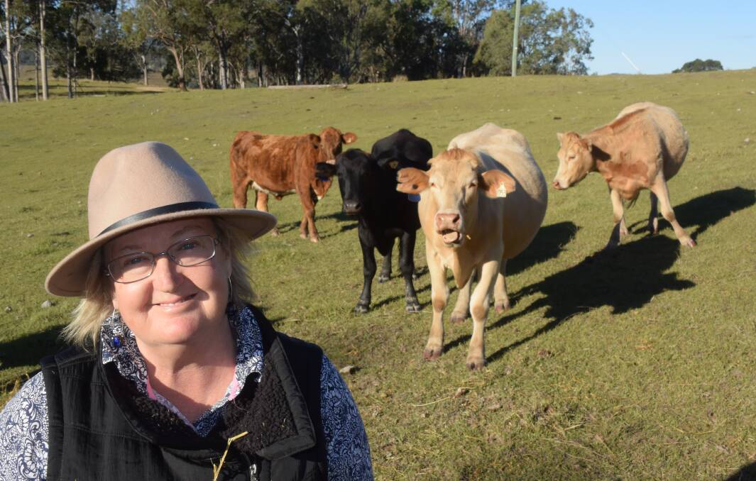 Tracey Conroy, Newbold, on the Clarence, maintains a low-Brahman content in her Charolais breeders.