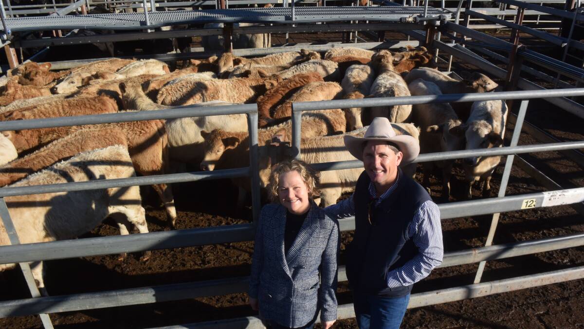 Michelle and Robert Page, Heifer Station, with heifers crossed from Charolais over Brahman/Hereford, 220kg, which made 592c/kg or $1304.