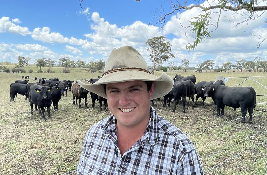 Ben Whelan, Liston Cattle Co, with a mob of Glenmorgan bulls purchased as part of the stud's dispersal. These genetics will help infuse a commercial herd of Ultrablacks with true foundation phenotype and do-ability for the New England.