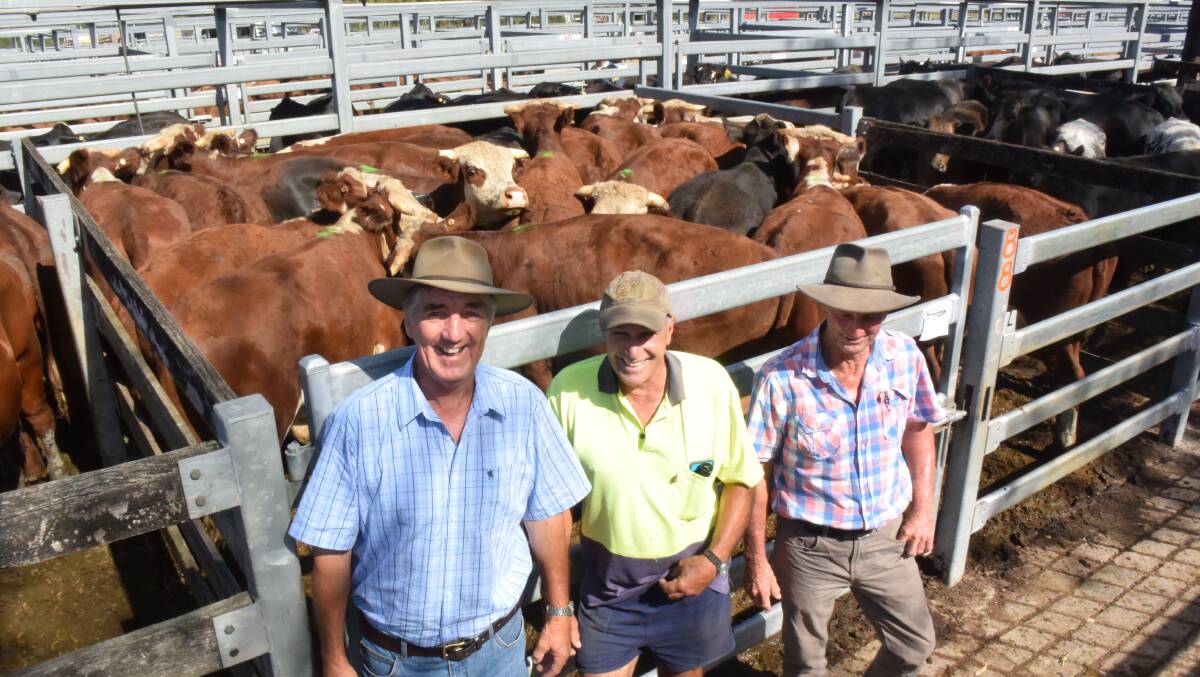 Colin Howe, Gum Scrub on the Hastings sold milk and two tooth Hereford steers, 386kg  for 292c/kg or $1129 to repeat buyer Barry Kerr, Macksville. He is pictured with Graham Avery, Rollins Plains, and David Carney, Wauchope.