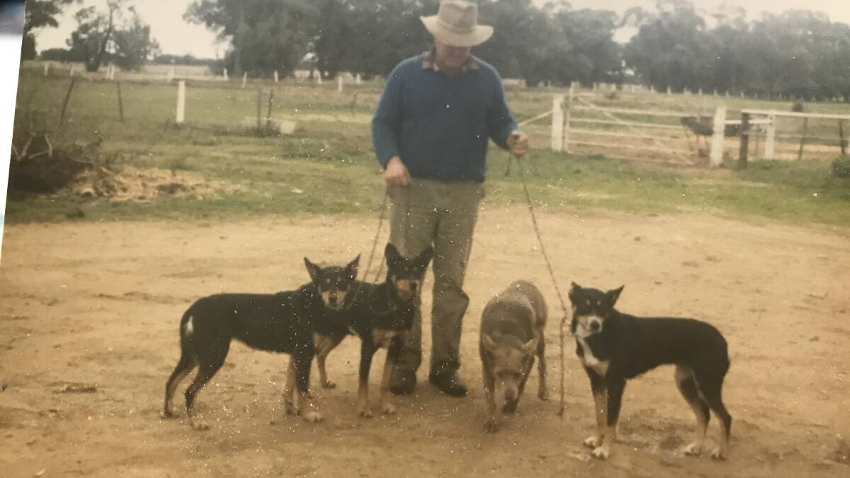 Graeme O'Bree with some of his working dogs descended from Scanlon blood.