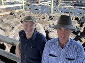 David Newsome, manager of RV7 at Furracabad with his agent Josh Barber and a draft of calves with Speriby North and Booroomooka blood, 316kg for 394c/kg or $1245, at Glen Innes on Friday.