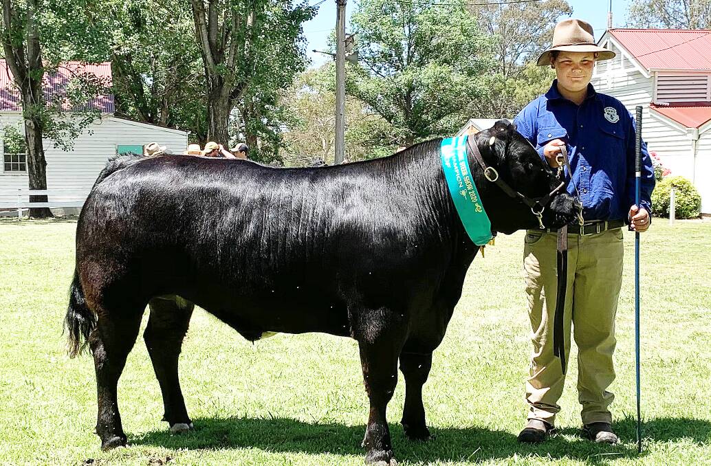 Glen Innes High School student Mitchell Davidson leads grand champion on hoof and hook at the northern schools competition. Photo: Jody Lamph