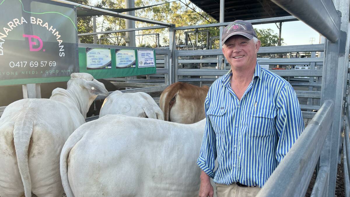 Ash Gardner, Banarra Brahmans at Summer Island, sold the top priced heifer for $5000 at the Kempsey feature female sale on Saturday. Photo is supplied.