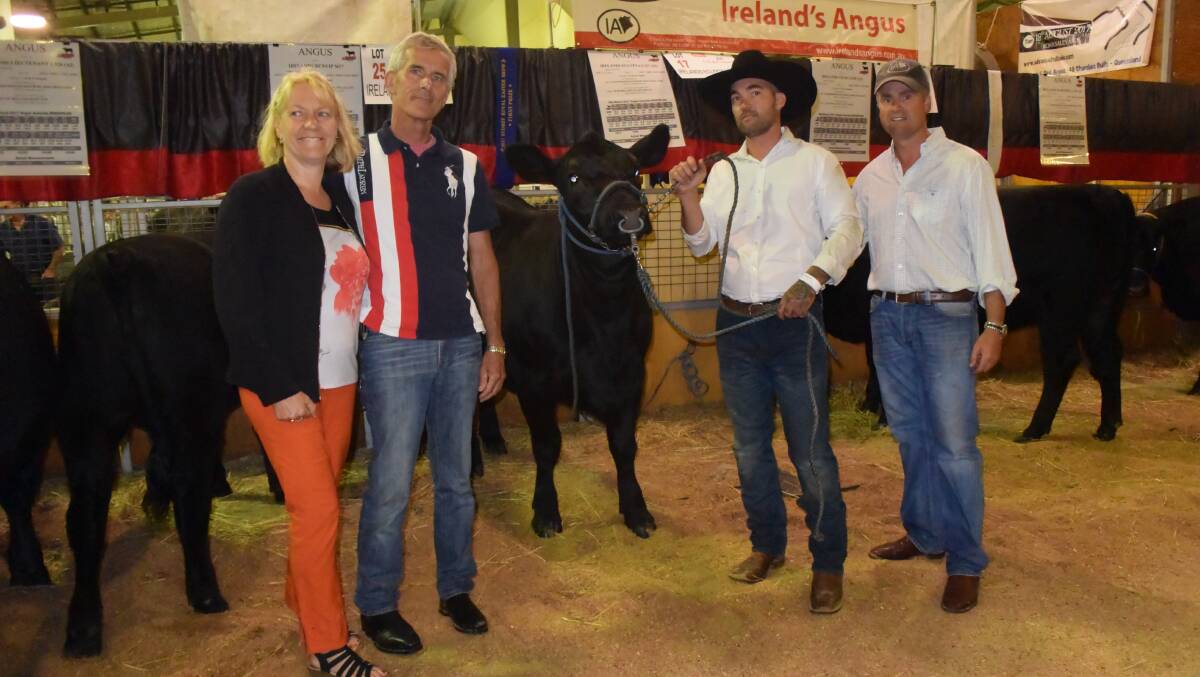 Helma and Henk Van Den Heuvel with their top sale purchase Irelands Eclypta L327, bought for $29,000, with Mitchell Ray and Corey Ireland of Ireland's Angus, Wagga Wagga.