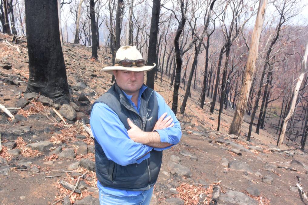 Manager of Marengo Station, Mick Kelsall, says it's time to re-think the great experiment surrounding fuel load and fire management and let skilled landholders carry out hazard reduction in national parks. This hot part of the Bees Nest fire has set the forest back big time.