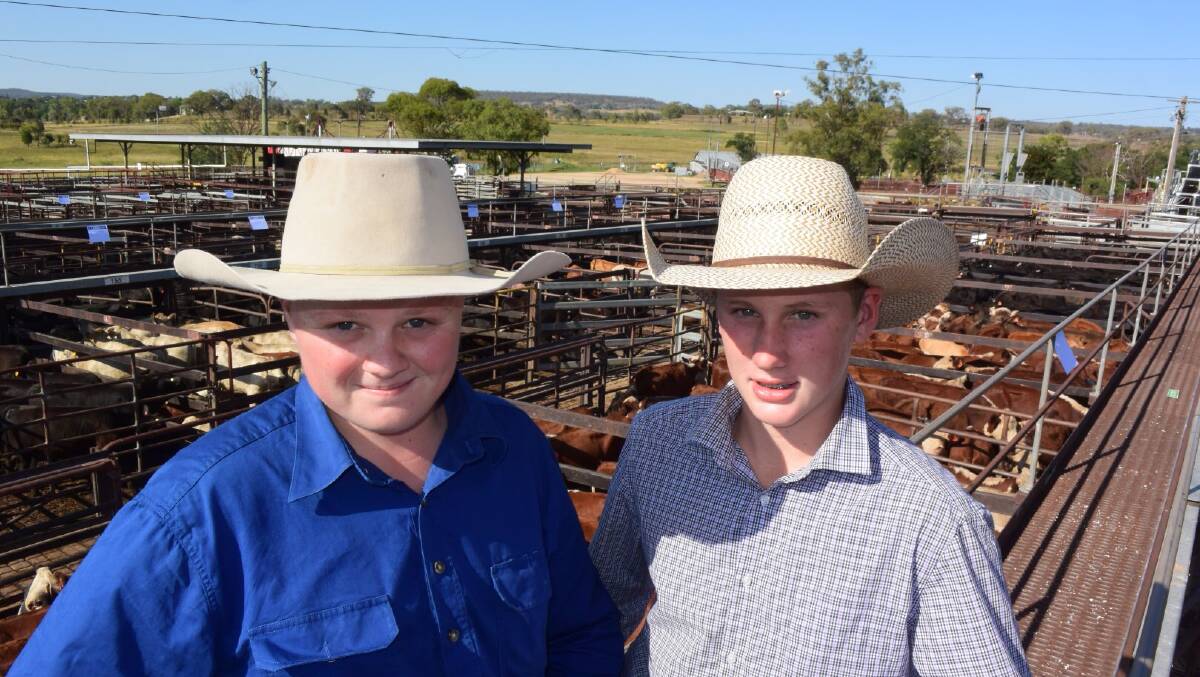 Ryan Taylor, Murrurundi, and Jack Nairn, Cassilis, got up early with their fathers to get to Inverell store sale but were put off by high prices.
