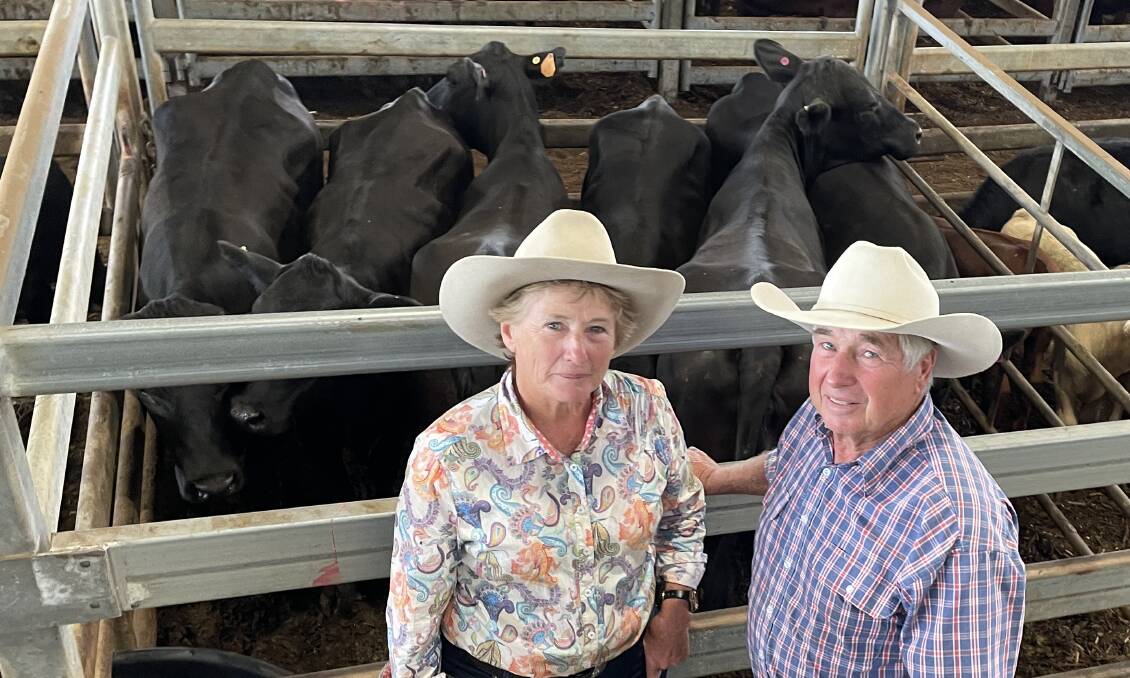 Repeat Yulgilbar clients Sue and Kevin Donnelly, Upper Taylors Arm, bought Sangus heifers with first calves at foot for $3000 at Casino on Saturday.