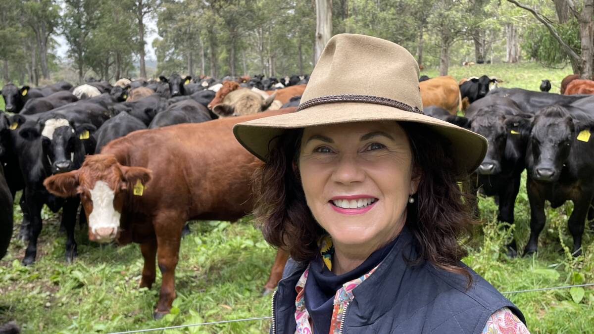 Ebor grazier and academic Lorraine Gordon is proving that ecology and grazing can co-exist to grow soil carbon and beef.