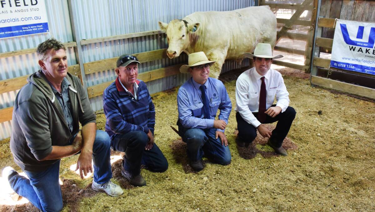 Top-priced Wakefield News Flash with buyer Tony Clark, Brushgrove, stud principal Greg Frizell and agents Luke Heaney, Armidale, and Mitch Donovan. Grafton.