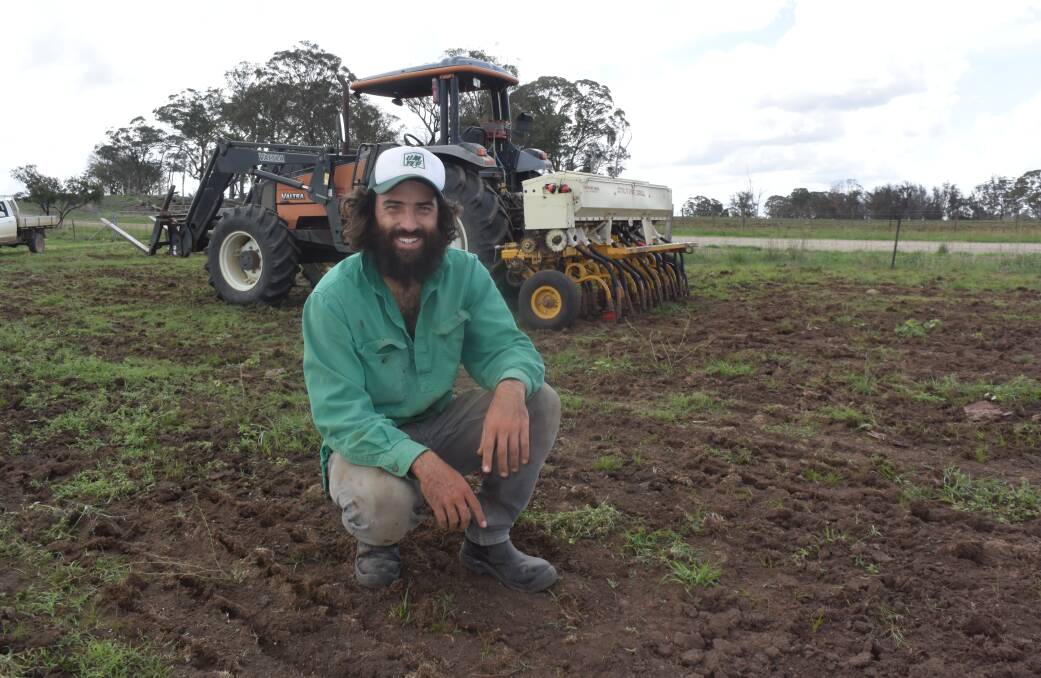 Ben Jackson, Guyra, planted millet for feed on the back of good rain - pleased to do something enterprising, other than feed sheep like he has for 12 months.