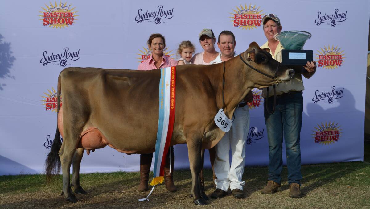 Supreme Champion dairy female at the Sydney Royal Show,  Kathleigh Gun Grace, pictured with Casandra Kath, Penny, Jessica and Brad Gavenlock and Andrew Kath who shared the joy in winning top ribbon.