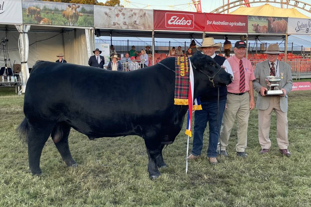 Grand Champion Angus bull Pine Creek Royal Roll R017 with stud principal Greg Fuller, Steve Ridley from Elders and Angus NSW chairman Peter Grieve.