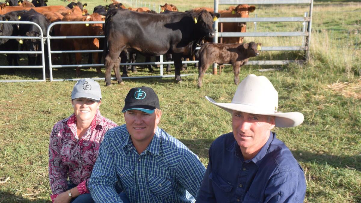 Donna and Ian Robson, Flemington Limousins, Batlow, with Red Rock stud principal Jeff Etheridge and sale topper Red Rock Black Lynx with calf by Flemington Joker. The two studs have similar objectives and a long friendship.