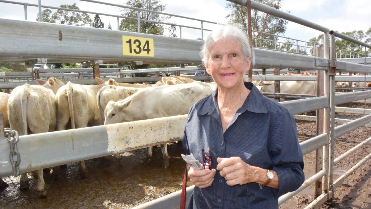 Colleen Underhill, Bellingen, bought Charolais cross steers, 330kg, at Grafton on Thursday paying 266c/kg or $878 and has returned them to pasture - in the case of this former racehorse trainer to river flats in some of the greenest country in the state.