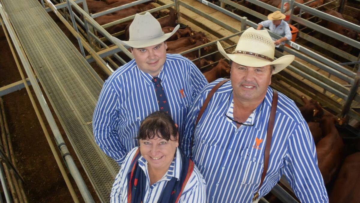Lorraine, Andrew and Rob Sinnamon will soon have more time to focus on their own enterprise, Riverina Santa Gertrudis Stud at Kyogle.