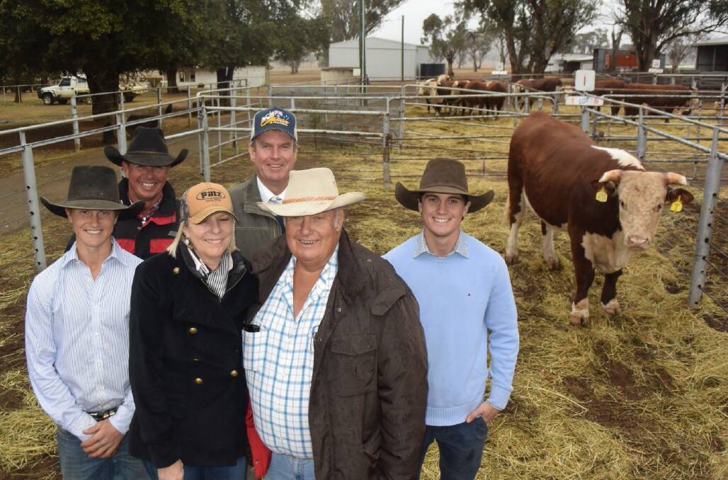 Ironbark Storm M194 topped the sale at $34,000 bought by Liz and Noel Cook, Kindon Station, pictured with the stud's Ben Spencer, Kindon head stockman Drew Fowles, auctioneer Paul Dooley and Ironbark stud's Hugh Spencer.