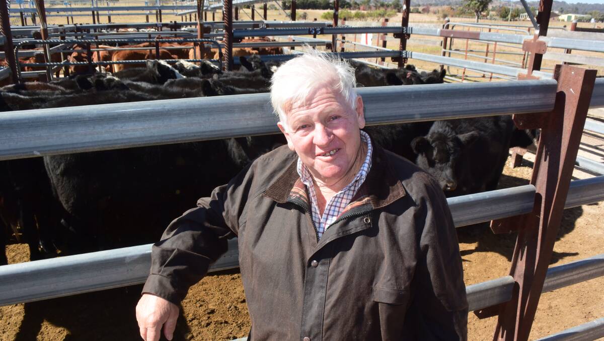 Peter Potter, Blackswamp Road, east Tenterfield, sold Angus steers, 256kg at 260c/kg to bring $667, some going to Goondiwindi, and sold heifers, 256kg at 232c/kg to make $594.