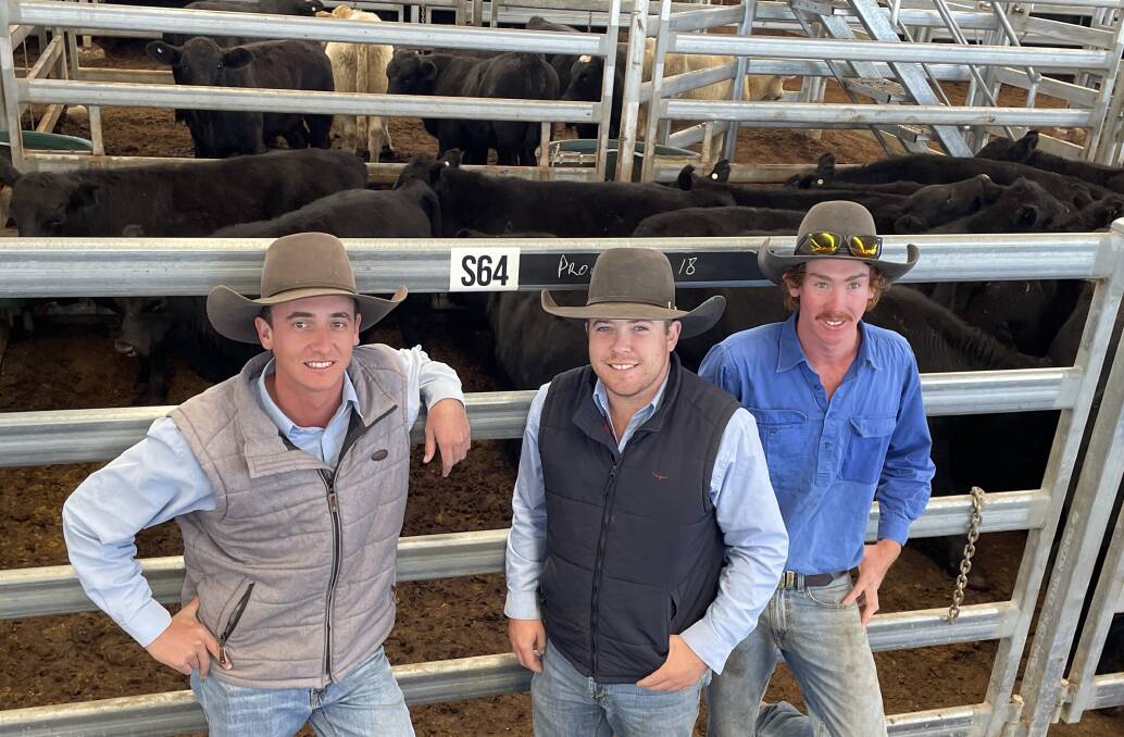 Jake Rosten, Luke Richards and Casey Jackson, agents with JA McGregor, with Angus steers off Promore Pastorals Chesterton at Bundarra, 286kg that made 412c/kg or $1178 at Inverell on Thursday. The company's heavier steers made $1312 for 373kg.