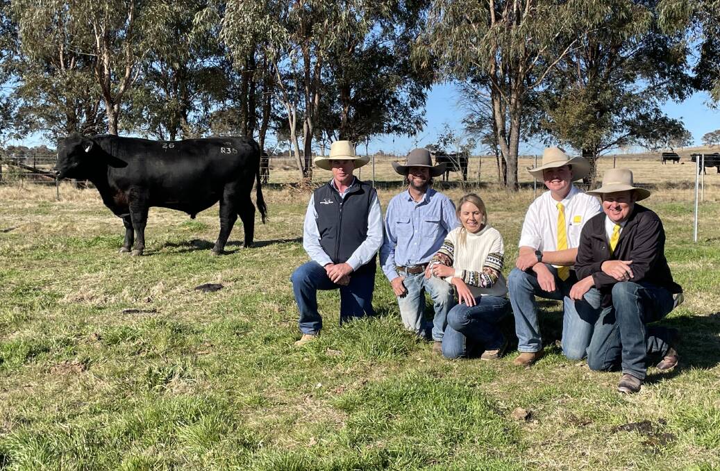 Top priced bull Inglebrae Farms 38 Special R36 with stud manager Darren Battistuzzi, buyers Matt and Kylie Young, White Swamp, with auctioneer Blake O'Reilly and organising agent Ben Sharpe, Ray white Tenterfield.