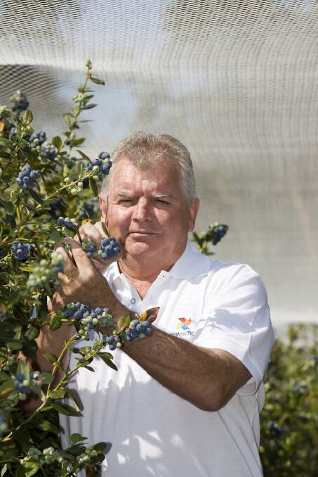 Berries Australia President, Peter McPherson said a lack of political will to push the case for blueberry access to China was disappinting.