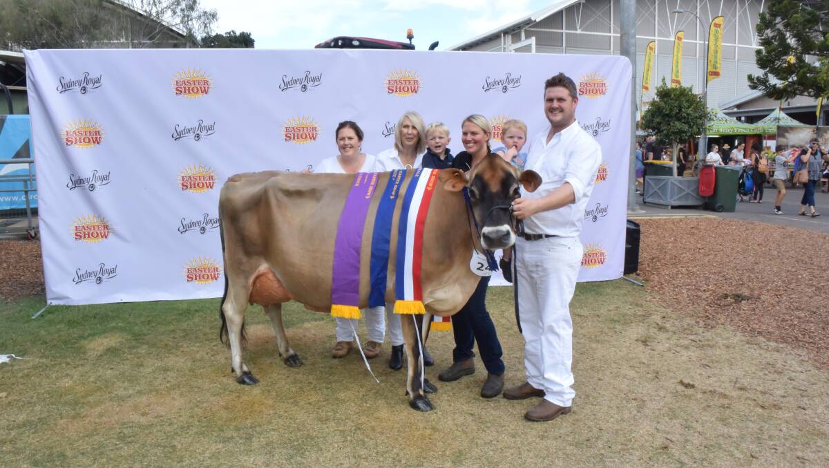 Brunchilli Vanahlem Eileen 2, five years old, sashed senior champion Jersey female pictured with Hayley Menzies, Lyn Boyd, Jack, Brooke, Maggie and David Boyd all from Brunchilli Farming Trust, Numbaa via Nowra.