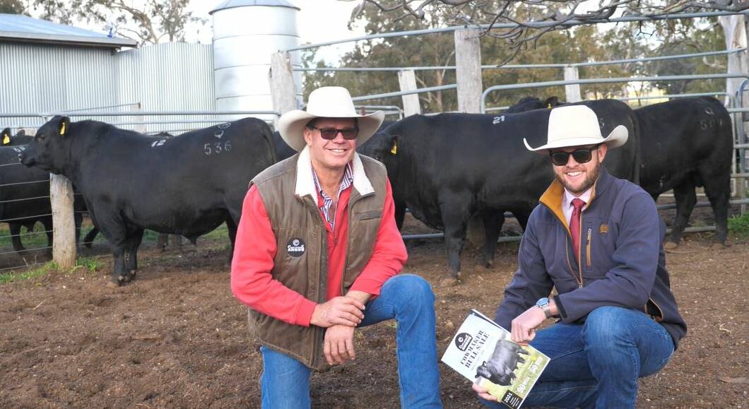 Top-priced bull Eaglehawk Ozi Kozi Q536 with stud principal Ian Vivers, Kingsland via Glen Innes, and volume buyer Brendan Kelly, Kellco, who waved down eight bulls for Queensland cattle enterprise Camm Agricultural. Photo: Supplied