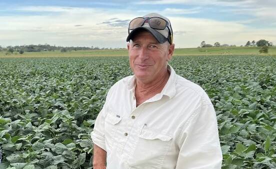 North Coast Oilseeds' champion soybean grower for 2023, Ron Du Frocq in his paddock ahead of harvest at Clovass via Casino. The Hayman variety proved its pedigree despite a lack of rain at flowering. Photo supplied.