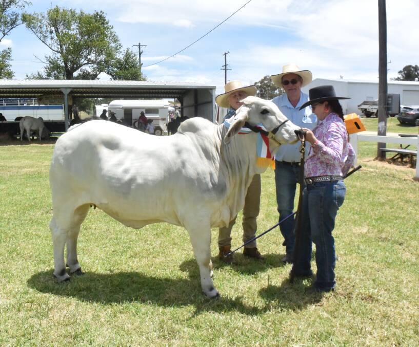 Supreme stud cattle exhibit of the Tenterfield show, Staben Crystal Gem bred by Stacey Clark, Casino, with her mother Margaret Clark and Norco sponsor representative Terry Serone, also from Casino.