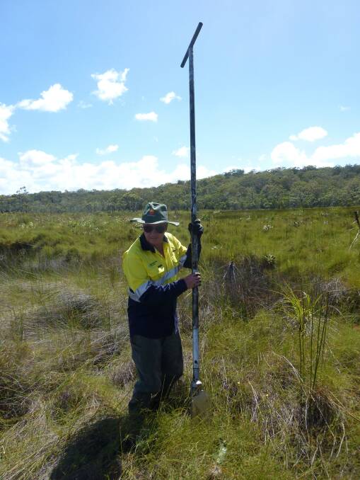 Dr Stewart taking a peat core sample on Fraser Island to look for charcoal layers that might tell the story of paleo-fire.