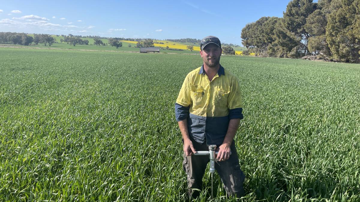 Young farmers like Dan Fox at Gladlea, Marrar, checking soil moisture with a penetrometer, are encouraged to take part in a GRDC survey designed to tease out indicators to cropping success and sustainability. File photo by Stephen Burns.