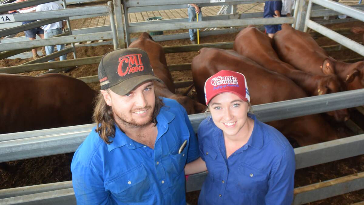 Gabby and Jay Boxhall, Pappinbarra on the Hastings paid $4540 for commercial Santa Gertrudis heifers in calf to Yulgilbar bulls, describing their phenotyope as stud quality. 
